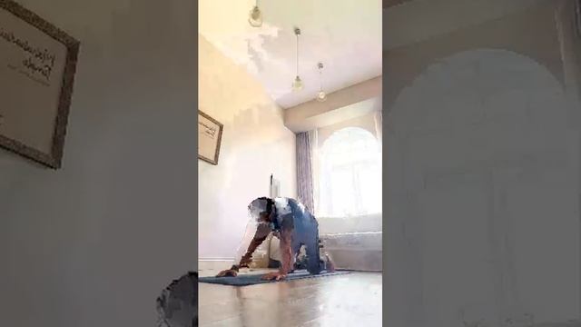 йога для начинающих