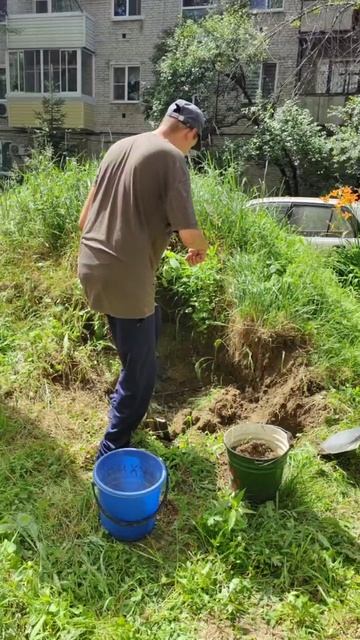 благоустройство территории