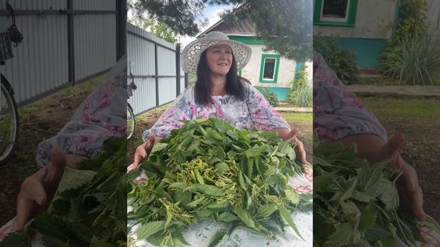 Короткий репортаж о моем отдыхе в деревне …11 июля 2025 год