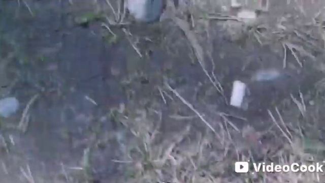 VideoCook_20250710_230100232.mp4