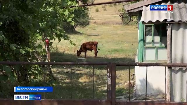 В селе Ульяновка Белогорского района приступили к строительству нового водопровода