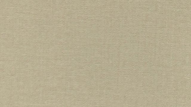 Обзор обоев Rasch Novella 983586