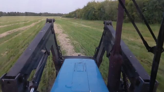 прессую суданку на сено