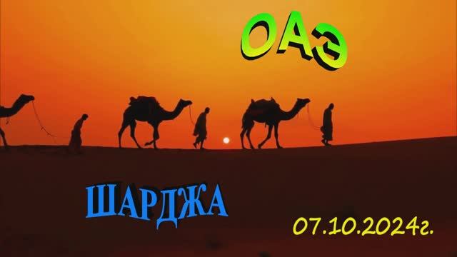 Свежий взгляд на отдых в ОАЭ. ч. 1 САРДЖА