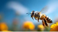 Ученые в Китае создали пчелу-киборга