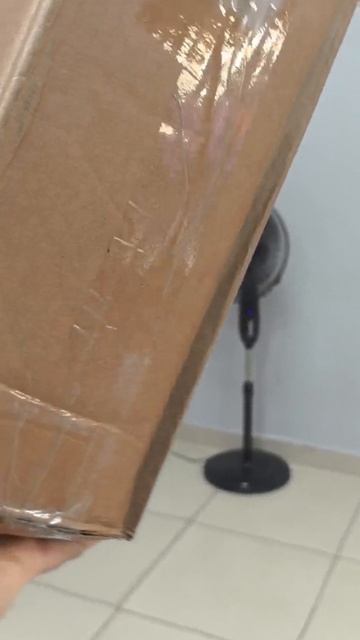 VID_20250711_082749.mp4