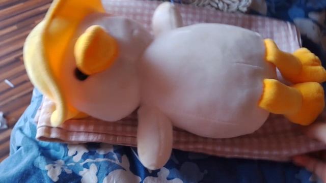 1000024473.mp4