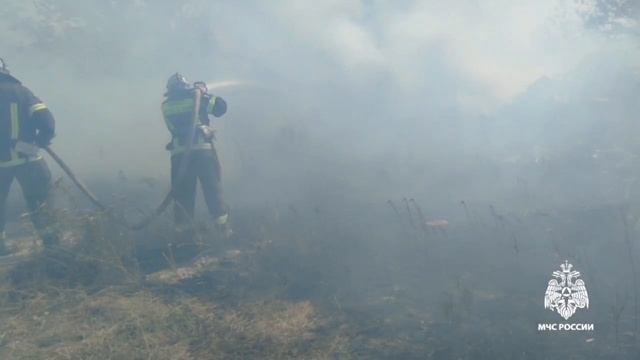 54 пожара сухой растительности ликвидировали спасатели Запорожской области 9 июля