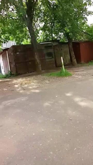 у меня сестра роется в мусорке.