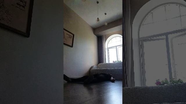 йога