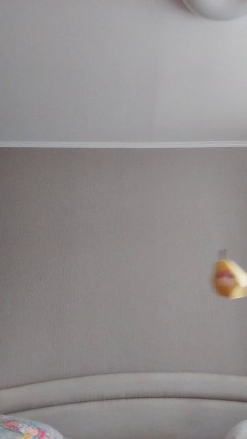 ✨✨ЭСТЕТИКА🐝🐝|❗ГРОМКОСТЬ ПОБОЛЬШЕ❗|coconut🥥