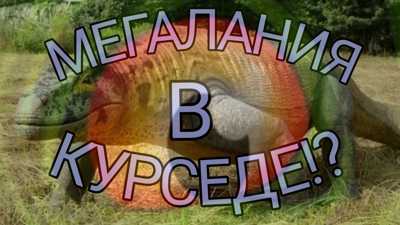 Вот бы мегаланию