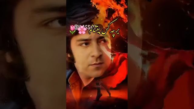 Unconfirmed_download_ Аҳмад Зоҳир