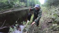 Пробираюсь к Лесной реке / Кидаю поисковый магнит / Ловлю Металл / Необычные находки