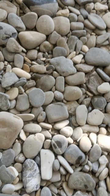 на что ловить карася