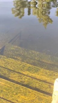 Хороших выходных ♥️