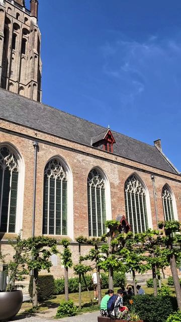 Brügge #shorts #viralvideos #fyp #belgium #travel