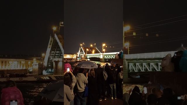 как разводятся мосты в Санкт-Петербурге