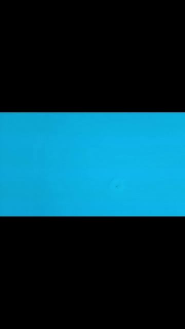 подводой