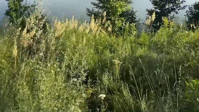 ScreenRecording_07-12-2025 22-16-07_1