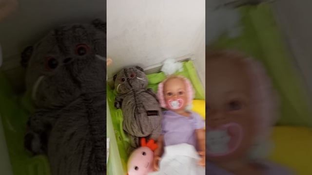 моё первое видео❤️🌈знакомство