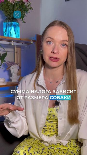 Самые необычные налоги в мире — Часть 1