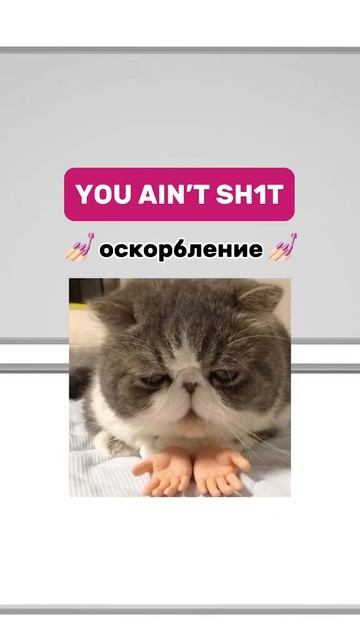 Когда фраза звучит как оскорбление, но это не так…😌