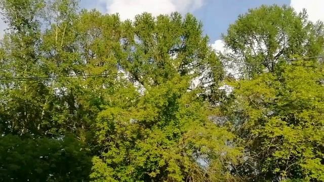 Там Святые Пётр и Павел