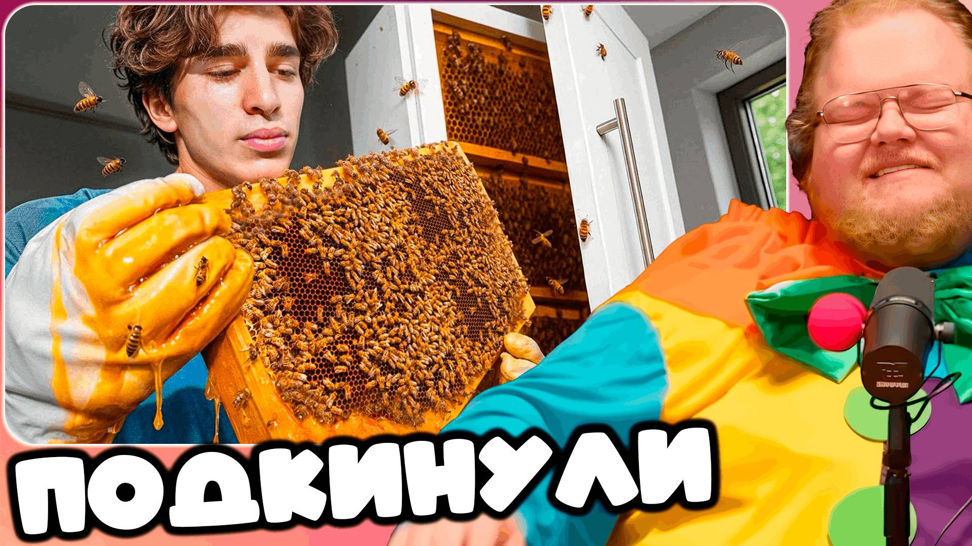 T2x2 СМОТРИТ Выращиваю 10 000 пчёл (у себя дома) ► ПОДКИНУЛИ