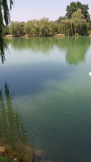 2025'07 Мы в Приэльбрусье-1