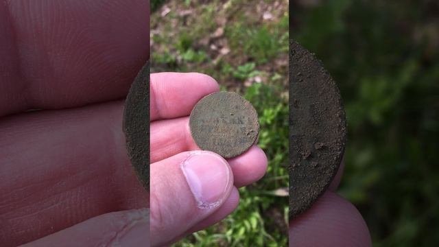 НЕОЖИДАННОЕ ЗРЕЛИЩЕ | ПО СЛЕДАМ КАБАНОВ | #metaldetecting #short #find #hog