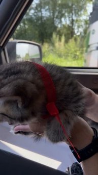 Подарок долгожданный ❤️