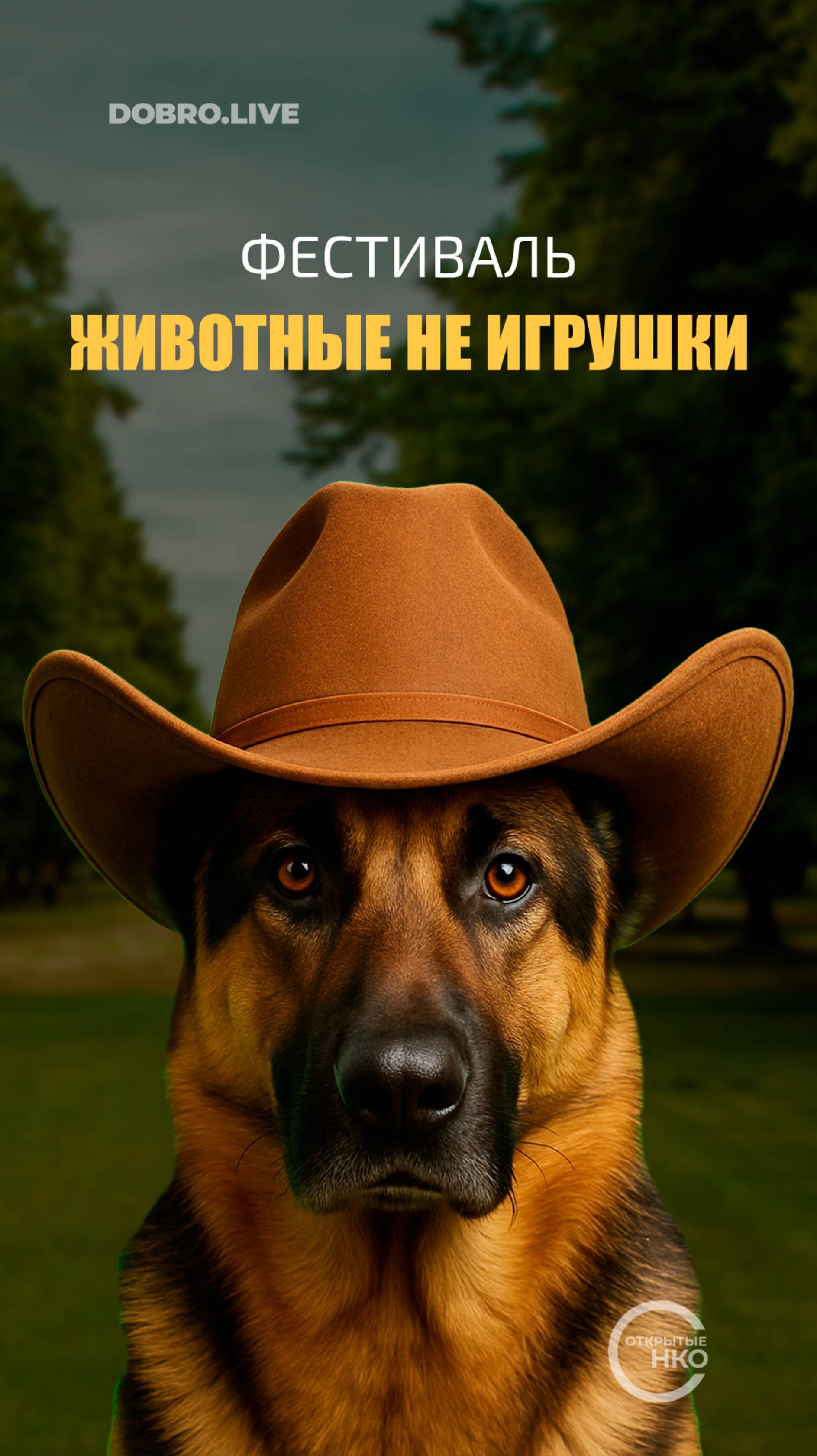 100 пар человек-питомец прошлись парадом в Череповце