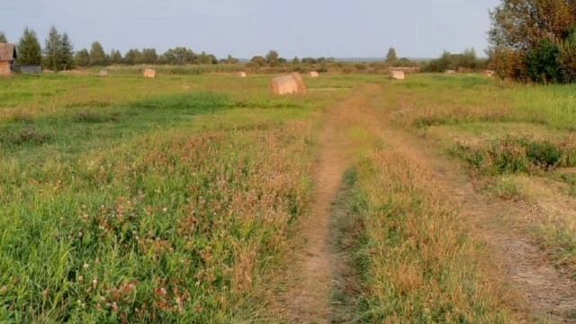 Лишь жила бы деревня моя