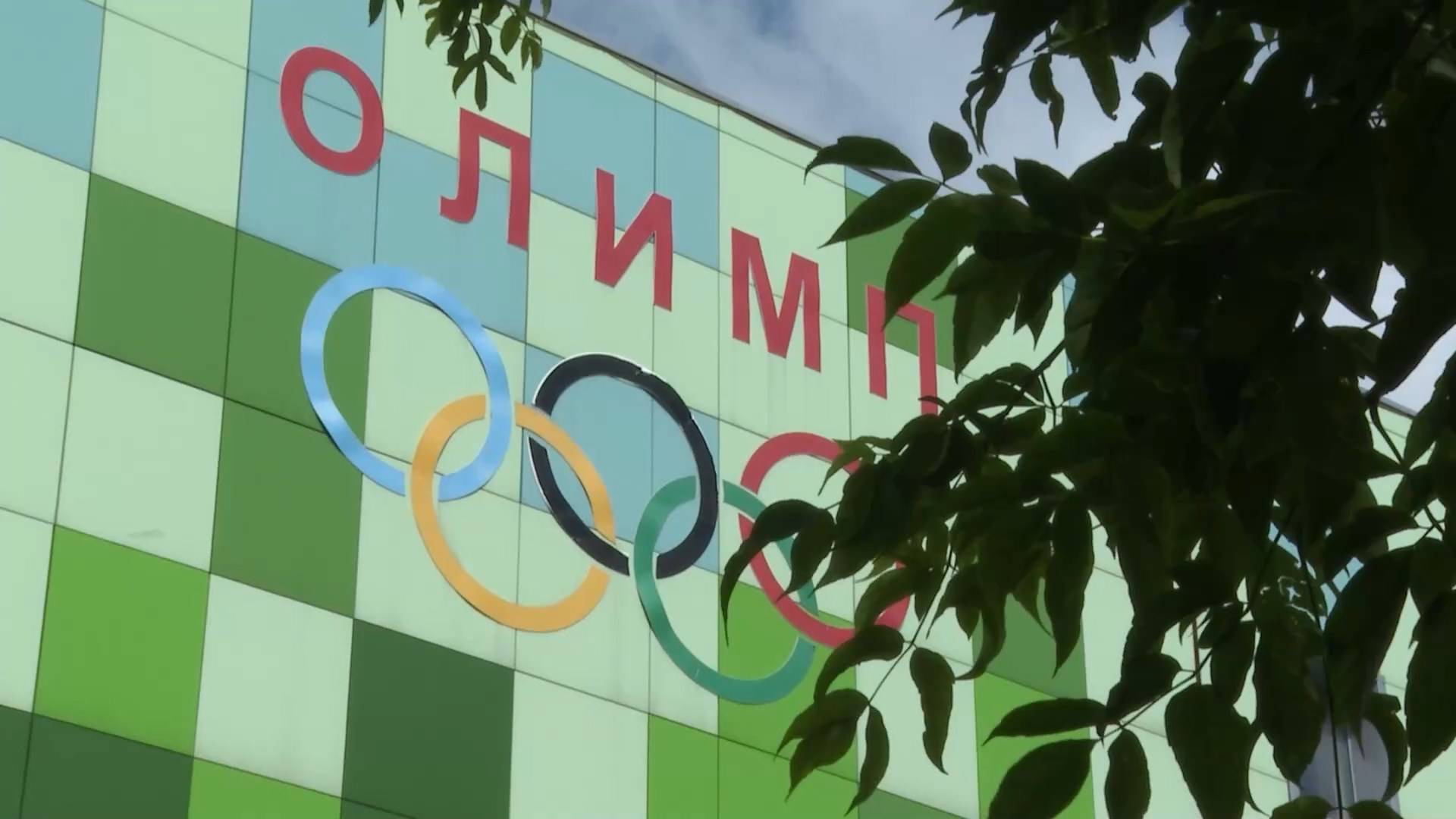 ФОК «Олимп» и «Дельфин» подготовят объекты в течение месяца