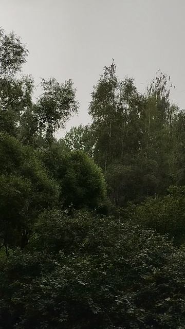 Гром