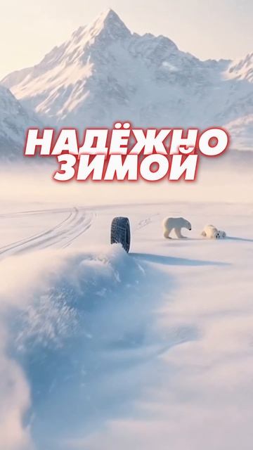 Arivo! Надежные шины в любое время года