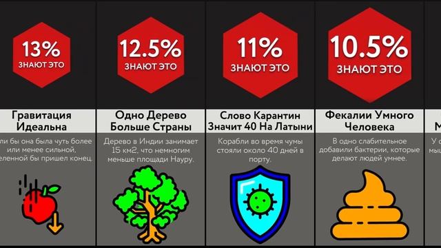 Эти Факты Сделают Тебя Умнее!