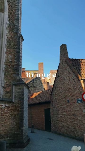 Brügge #travel #belgium #fyp #viralvideos #kultur #vibe #4k #walking #reisen