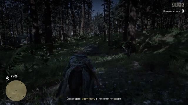 Red Dead Online  Странные Байки из глуши (обновление 2025)
