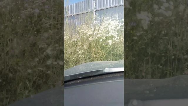 1000157707.mp4