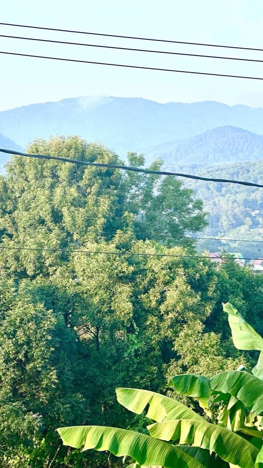 Вардане, отдых,гостевой до ми Вардане