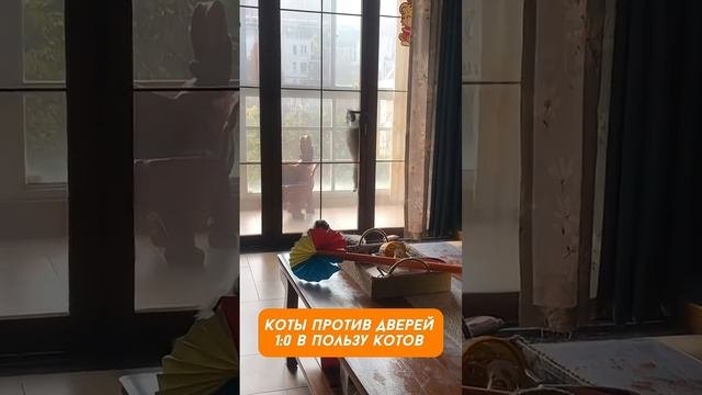Хозяин, открывай... Или сам открою 😾 Коты vs Двери_ Кто Победит_