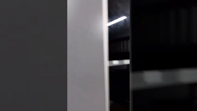У Пупса невероятные приключения 🔥