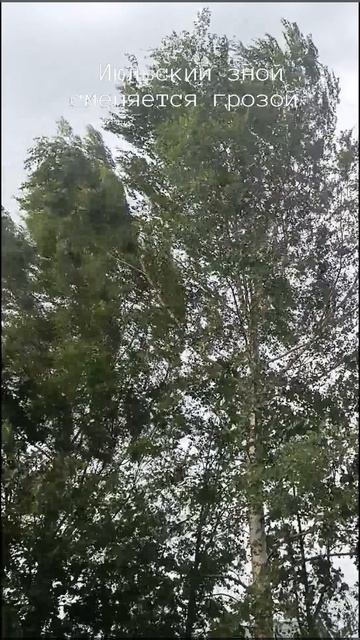 Лето 2025: Июль