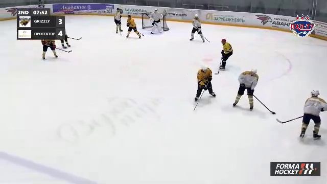 Grizzly Dream Team - Протектор