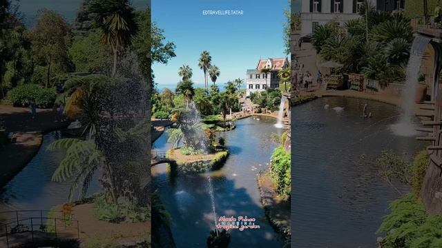 Monte Palace tropical garden. Madeira 🇵🇹