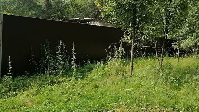 13.07.2025.Д.Благое.Домодедово.Московская область. Обзор проведённых работ. Решаем проблемы вместе.