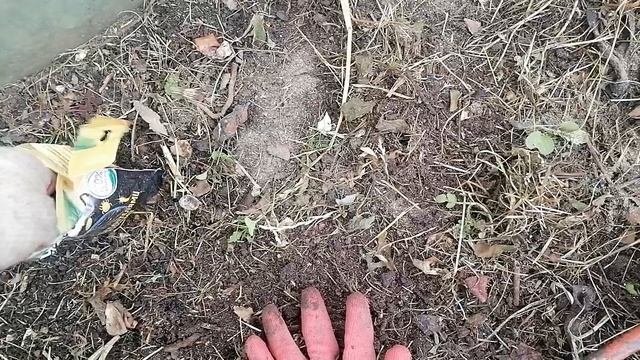 Почвочист в теплице