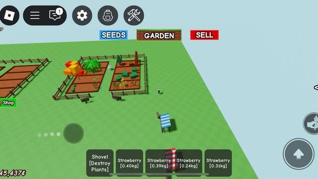 grOw a garden